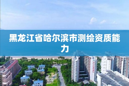 黑龙江省哈尔滨市测绘资质能力