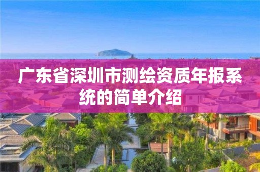 广东省深圳市测绘资质年报系统的简单介绍