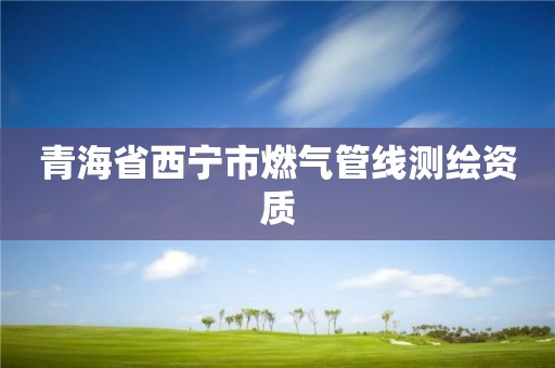 青海省西宁市燃气管线测绘资质