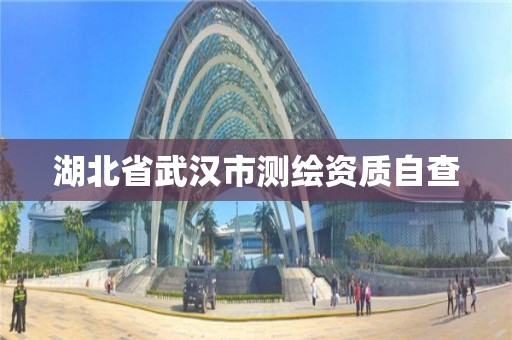 湖北省武汉市测绘资质自查