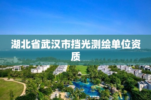 湖北省武汉市挡光测绘单位资质