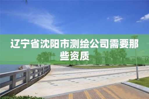 辽宁省沈阳市测绘公司需要那些资质