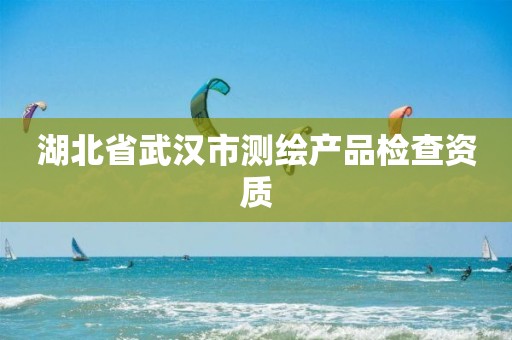 湖北省武汉市测绘产品检查资质