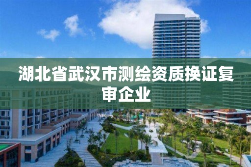 湖北省武汉市测绘资质换证复审企业