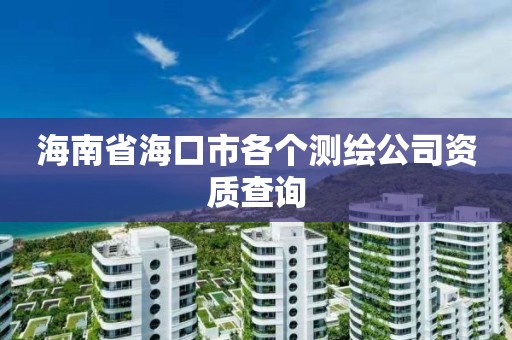 海南省海口市各个测绘公司资质查询