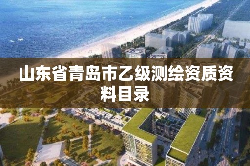 山东省青岛市乙级测绘资质资料目录