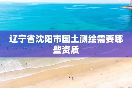 辽宁省沈阳市国土测绘需要哪些资质