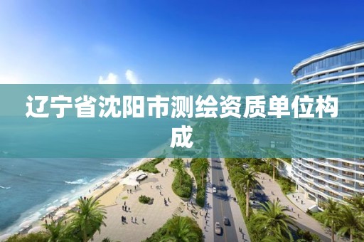 辽宁省沈阳市测绘资质单位构成