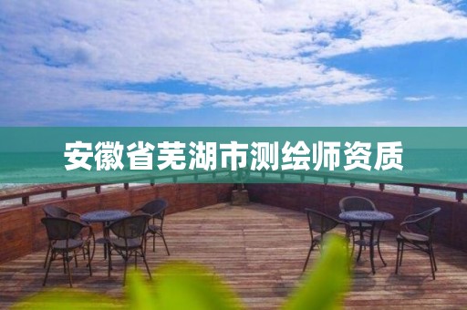 安徽省芜湖市测绘师资质