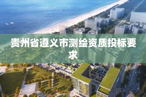 贵州省遵义市测绘资质投标要求