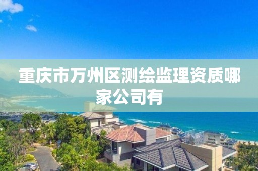 重庆市万州区测绘监理资质哪家公司有