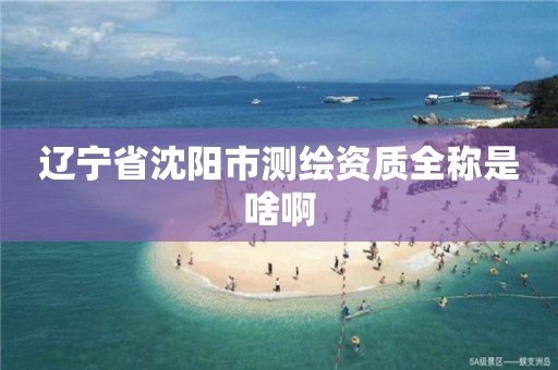 辽宁省沈阳市测绘资质全称是啥啊