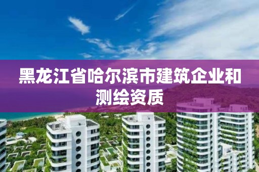 黑龙江省哈尔滨市建筑企业和测绘资质