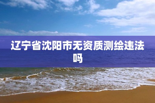 辽宁省沈阳市无资质测绘违法吗