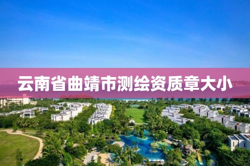 云南省曲靖市测绘资质章大小