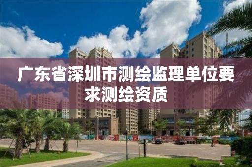 广东省深圳市测绘监理单位要求测绘资质