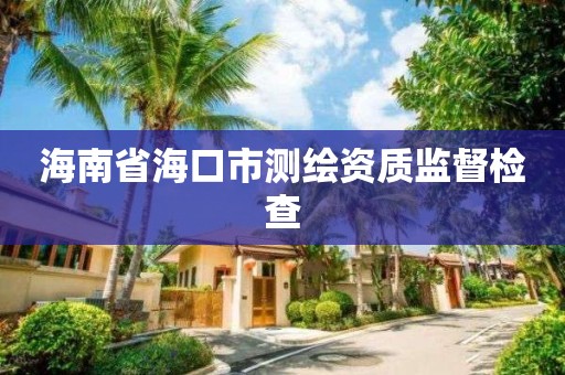 海南省海口市测绘资质监督检查