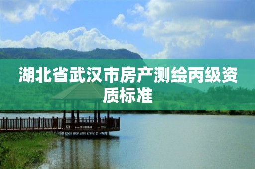 湖北省武汉市房产测绘丙级资质标准