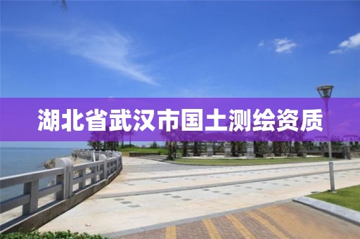 湖北省武汉市国土测绘资质