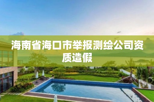 海南省海口市举报测绘公司资质造假