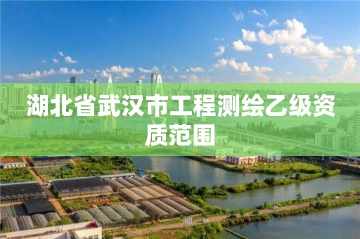 湖北省武汉市工程测绘乙级资质范围