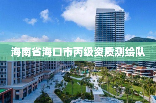 海南省海口市丙级资质测绘队