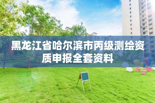 黑龙江省哈尔滨市丙级测绘资质申报全套资料