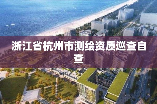 浙江省杭州市测绘资质巡查自查