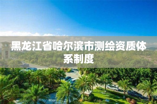 黑龙江省哈尔滨市测绘资质体系制度