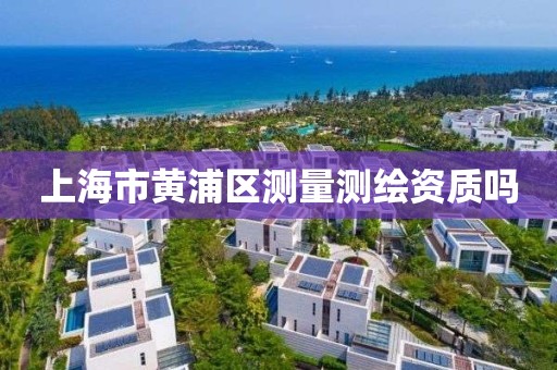 上海市黄浦区测量测绘资质吗