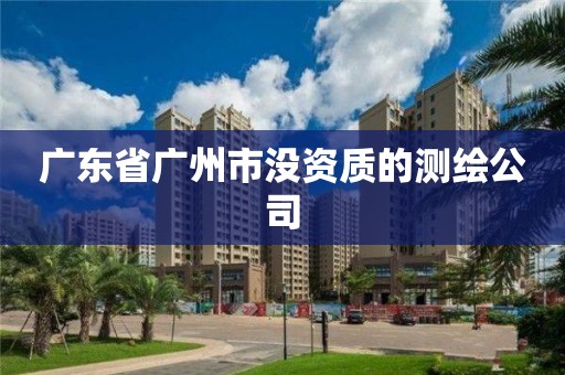 广东省广州市没资质的测绘公司