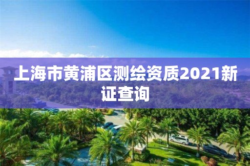 上海市黄浦区测绘资质2021新证查询