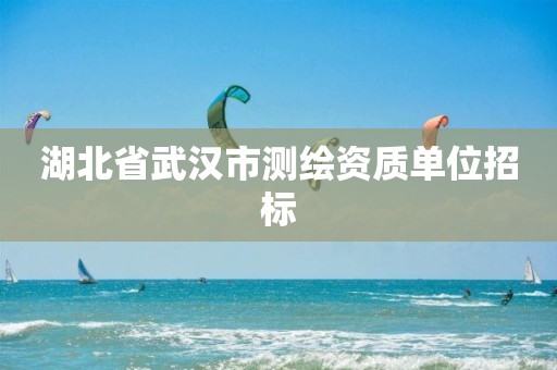 湖北省武汉市测绘资质单位招标