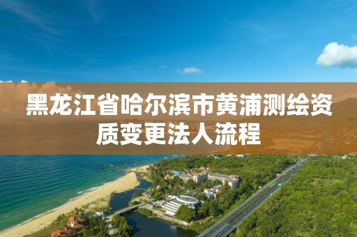 黑龙江省哈尔滨市黄浦测绘资质变更法人流程