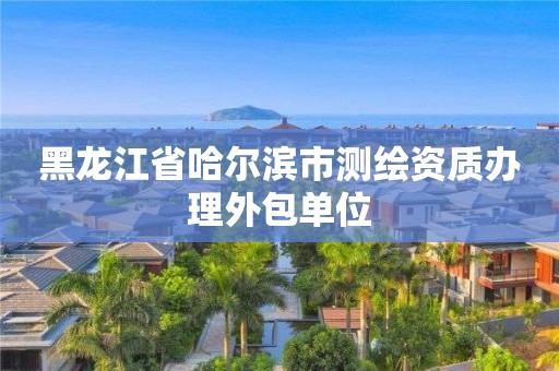 黑龙江省哈尔滨市测绘资质办理外包单位