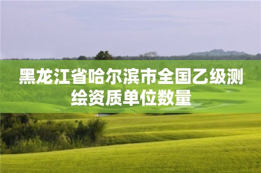 黑龙江省哈尔滨市全国乙级测绘资质单位数量