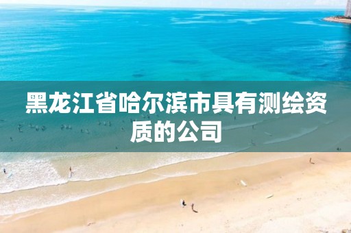 黑龙江省哈尔滨市具有测绘资质的公司