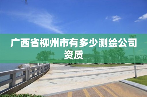 广西省柳州市有多少测绘公司资质