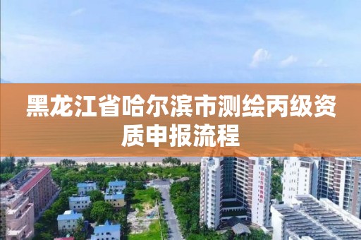 黑龙江省哈尔滨市测绘丙级资质申报流程