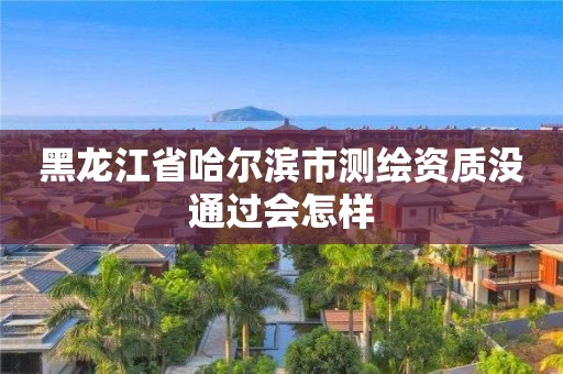 黑龙江省哈尔滨市测绘资质没通过会怎样