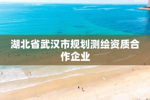 湖北省武汉市规划测绘资质合作企业