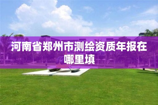 河南省郑州市测绘资质年报在哪里填