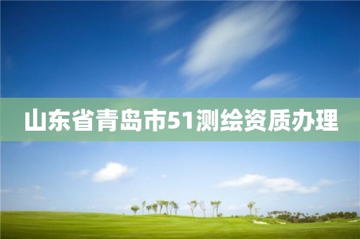 山东省青岛市51测绘资质办理