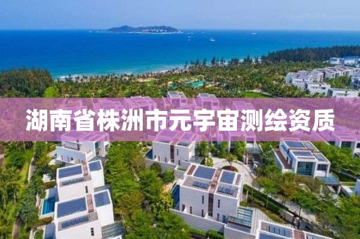 湖南省株洲市元宇宙测绘资质