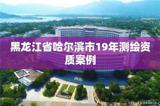 黑龙江省哈尔滨市19年测绘资质案例