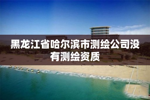 黑龙江省哈尔滨市测绘公司没有测绘资质