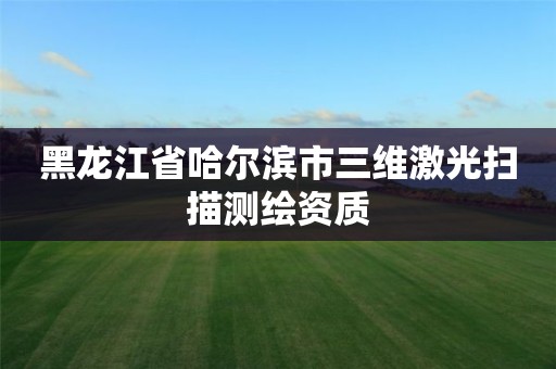 黑龙江省哈尔滨市三维激光扫描测绘资质