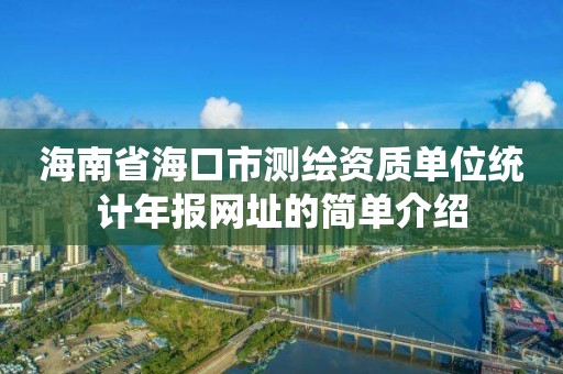 海南省海口市测绘资质单位统计年报网址的简单介绍