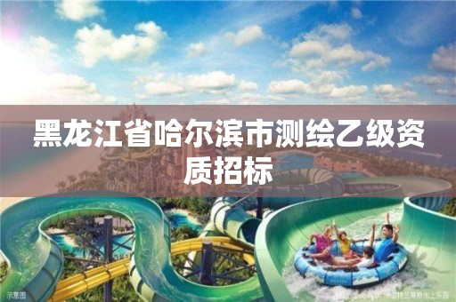 黑龙江省哈尔滨市测绘乙级资质招标