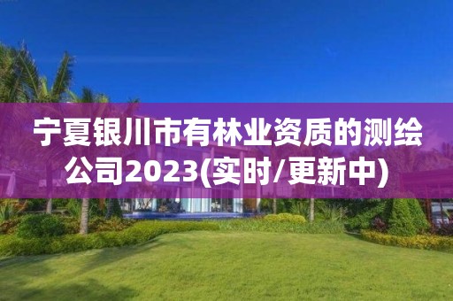 宁夏银川市有的测绘公司2023(实时/更新中)